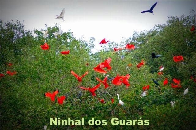 Pousada Real Ilha Comprida Exterior foto